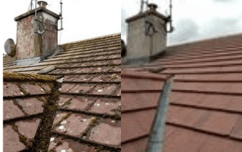 roof cleaning 